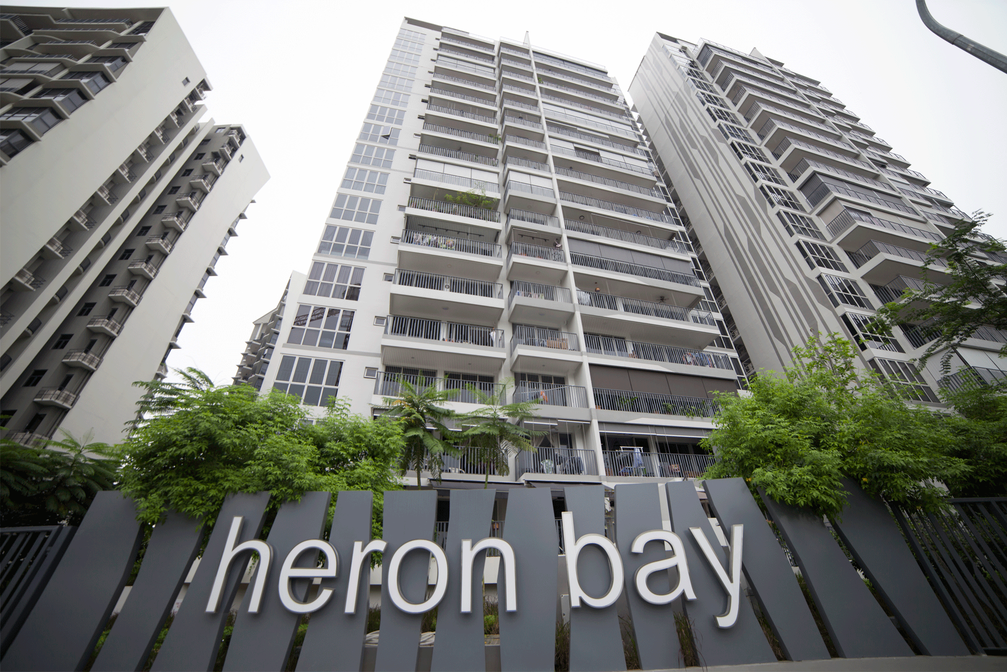 Heron Bay CUSTOM LICHT